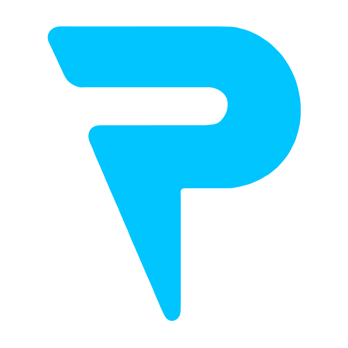 PureMoto Logo